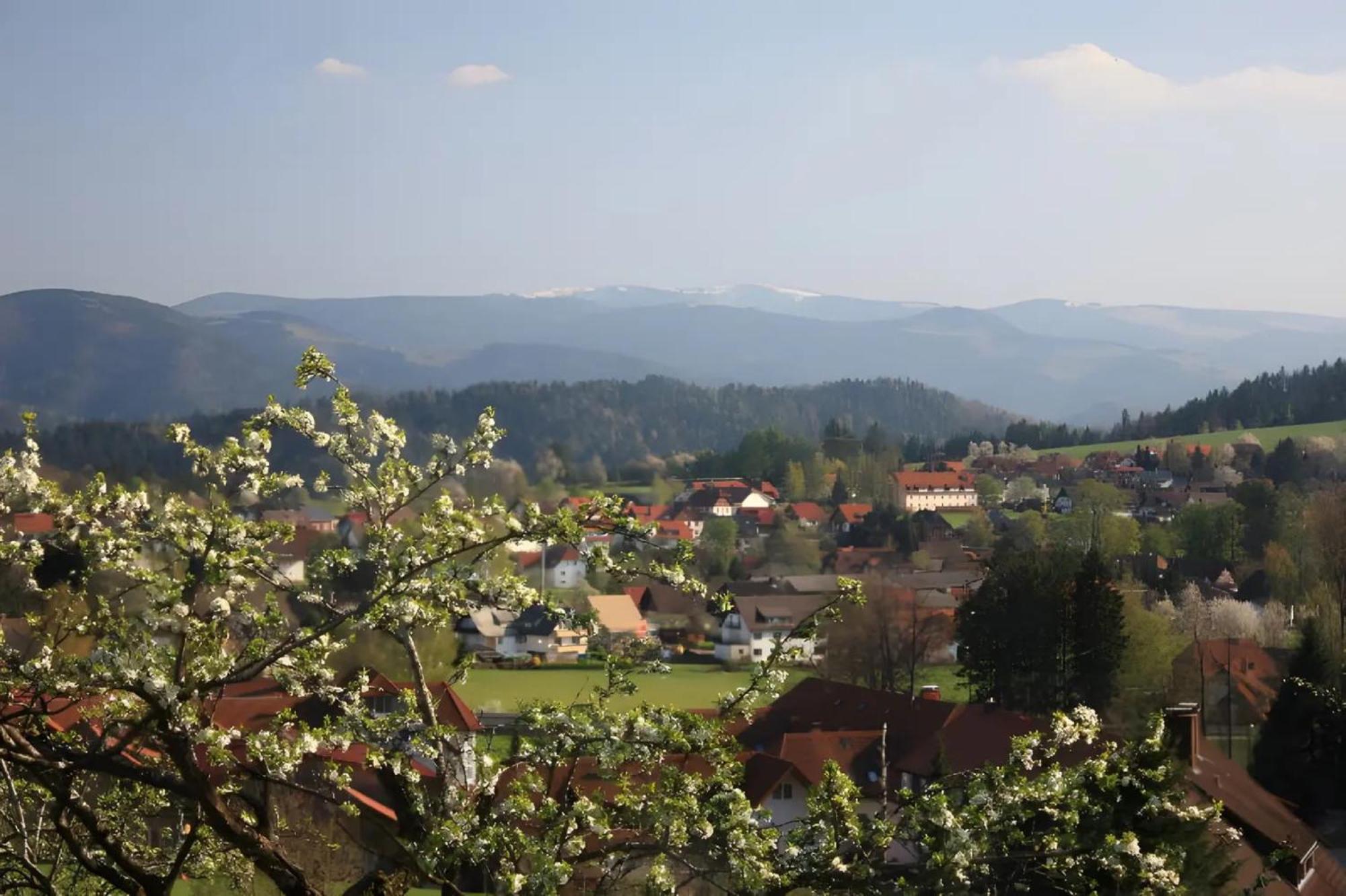 Ferien Auf Dem Steingrubenhof Appartement Sankt Peter Buitenkant foto