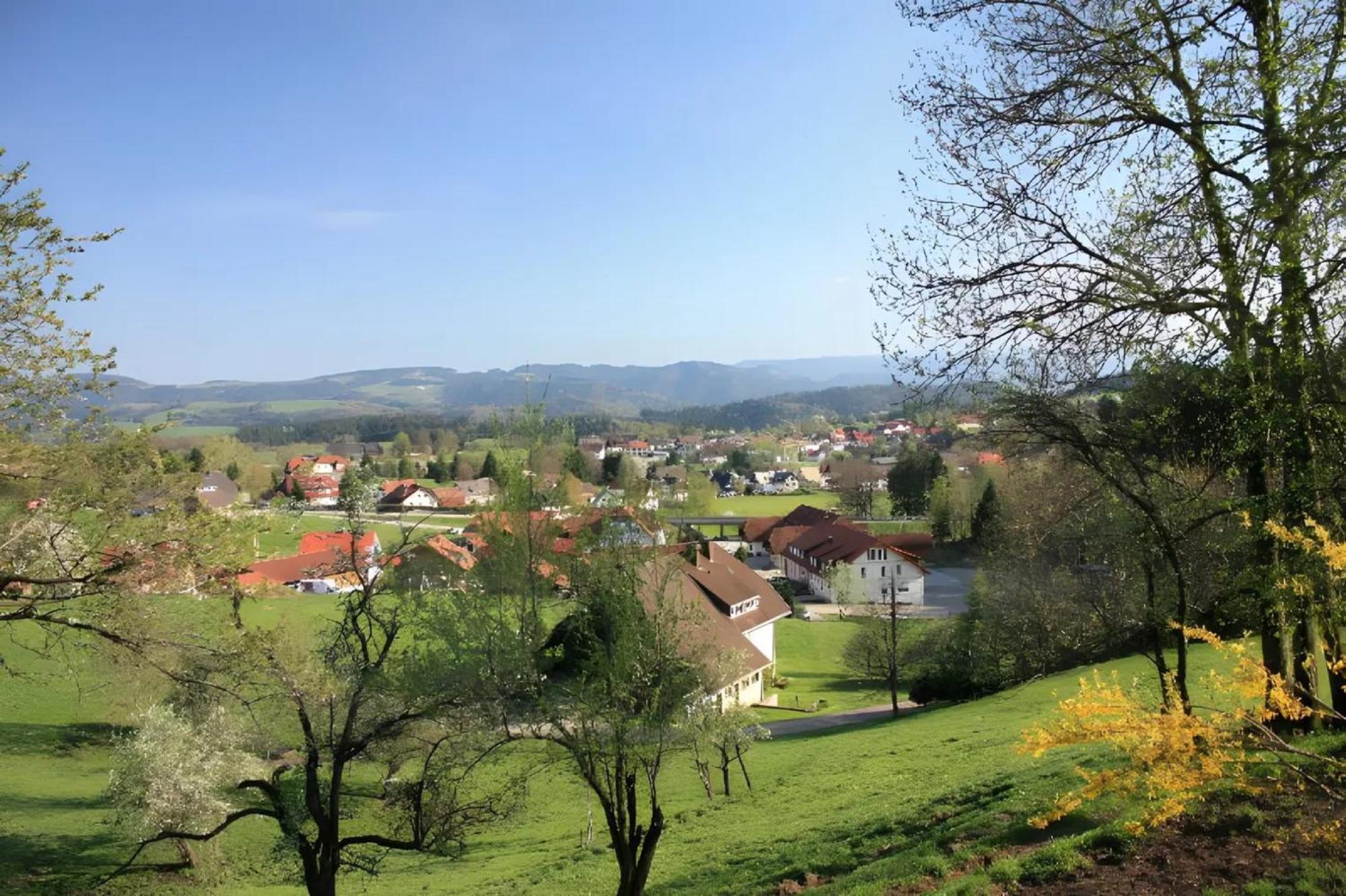 Ferien Auf Dem Steingrubenhof Appartement Sankt Peter Buitenkant foto